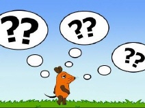 Wie viele Fragen hat die Maus beantwortet?